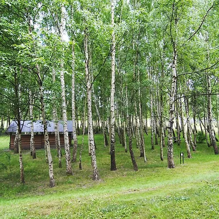 Apartamentai Berzas *